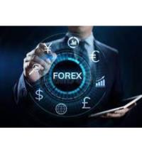 Forex Chasers Inc image 3